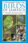A Photographic Guide to the Birds of Jamaica - Ann Haynes-Sutton ; Yves-Jacques Rey-Millet ; Audrey Downer ; Robert Sutton - 9781408107430