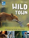 Wild Town - Mike Dilger - 9781408173909