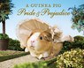 A Guinea Pig Pride & Prejudice - Jane Austen ; Alex Goodwin ; Tess Newall - 9781408865514
