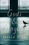 Gods and Angels - David Park - 9781408866092