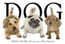 Dog - Matthew Van Fleet - 9781416941378
