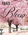 Paris in Bloom - Georgianna Lane - 9781419724060