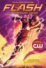 The Flash: The Tornado Twins - Barry Lyga - 9781419736087