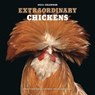 Extraordinary Chickens 2024 Wall Calendar -  - 9781419768637