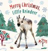 Merry Christmas, Little Reindeer: A Board Book - Amanda Wood - 9781419769498