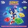 Sonic the Hedgehog 35th Anniversary 2026 Wall Calendar with 4 Bonus Notecards -  - 9781419784392