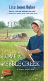 Love at Pebble Creek - Lisa Jones Baker - 9781420147469