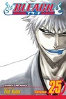 Bleach, Vol. 25 - Tite Kubo - 9781421517964