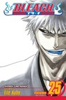 Bleach, Vol. 25 - Tite Kubo - 9781421517964