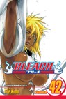 Bleach, Vol. 42 - Tite Kubo - 9781421541396