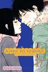 Kimi ni Todoke: From Me to You, Vol. 17 - Karuho Shiina - 9781421554785