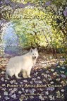 At The Edge Of Forever - Angel Elisa Collier - 9781421836461