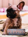 Puppies - Marcus Schneck - 9781422243183