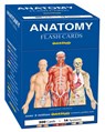 Anatomy Flash Cards: A Quickstudy Reference & Study Tool -  - 9781423251385