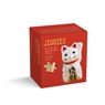 Lucky Cat Jiggie Puzzle 44 Pieces -  - 9781423668138