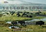 Yellowstone - David Quammen - 9781426217548