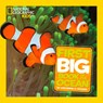 Little Kids First Big Book of The Ocean - Catherine D. Hughes ; National Geographic Kids - 9781426313684
