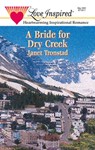 A Bride for Dry Creek - Janet Tronstad - 9781426871900