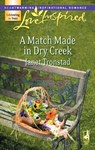 A Match Made in Dry Creek - Janet Tronstad - 9781426871979
