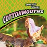 Cottonmouths - Tracy Nelson Maurer - 9781427162366