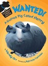WANTED! A Guinea Pig Called Henry - Wendy Orr - 9781429942201