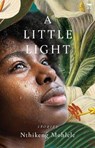 A Little Light - Nthikeng Mohlele - 9781431433544