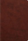 ESV Student Study Bible - Wayne A. Grudem - 9781433556258