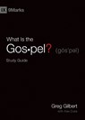 What Is the Gospel? Study Guide - Greg Gilbert - 9781433568251