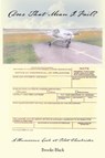 Does That Mean I Fail? a Humorous Look at Pilot Checkrides - Brooks Black - 9781434930057