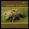 Komodo Dragons - O'DONNELL,  Kerri - 9781435838321
