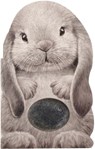 Furry Bunny - Annie Auerbach - 9781438050119