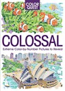 Geremia, D: Color Quest: Colossal - Daniela Geremia - 9781438089539