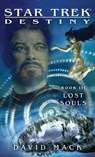Star Trek: Destiny #3: Lost Souls - David Mack - 9781439123362