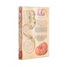 Lily & Tomato (Mira Botanica) Mini Lined Journal - Paperblanks - 9781439793503