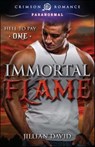 Immortal Flame - Jillian David - 9781440589157
