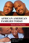 African American Families Today - Angela J. Hattery ; Earl Smith - 9781442213975