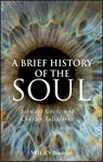 A Brief History of the Soul - Stewart Goetz ; Charles Taliaferro - 9781444395921