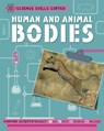 Science Skills Sorted!: Human and Animal Bodies - Angela Royston - 9781445151533