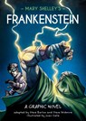 Classics in Graphics: Mary Shelley's Frankenstein - Steve Barlow ; Steve Skidmore - 9781445191508