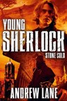 Stone Cold - Andrew Lane - 9781447228011