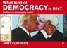What Kind of Democracy Is This? - Matthew (University of Sheffield) Flinders - 9781447337621