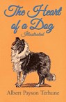 The Heart of a Dog - Illustrated - Albert Payson Terhune - 9781447472483