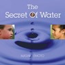 The Secret of Water - Masaru Emoto - 9781451664362