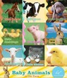 Baby Animals on the Farm - Eleni N. Gage - 9781452134161