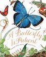 A Butterfly Is Patient - Dianna Hutts Aston - 9781452141244