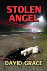 Stolen Angel - David Grace - 9781452377391