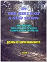 In the Birth of a New Dawn - John R. Hernandez, Jr. - 9781452494500