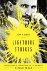 Lightning Strikes - John F Wasik - 9781454931959