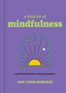 A Little Bit of Mindfulness: An Introduction to Being Present - Amy Leigh Mercree - 9781454958932