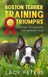 Boston Terrier Training Triumphs - Lacy Peters - 9781456640835
